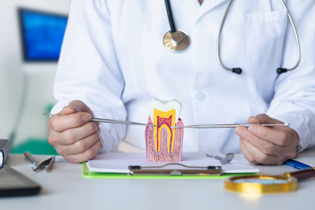 Best Pediatric Emergency Dentist in Caldwell, NJ